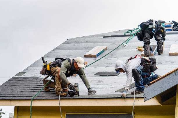 Professional Gutter Installation technician working in Capac, MI